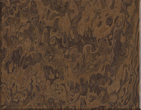 Корень калифорнийского ореха